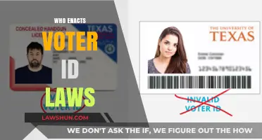 Who Enacts Voter ID Laws: Understanding the Legislative Process