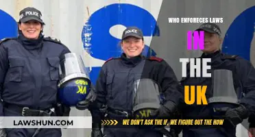Law Enforcement in the UK: Who's in Charge?