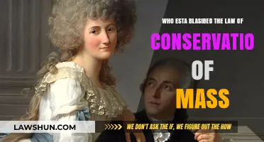 Who Established the Law of Conservation of Mass?