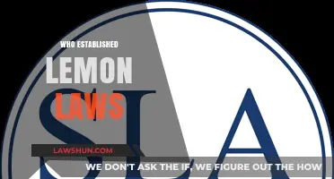 Who Established Lemon Laws? Uncovering the Origins of Consumer Protection