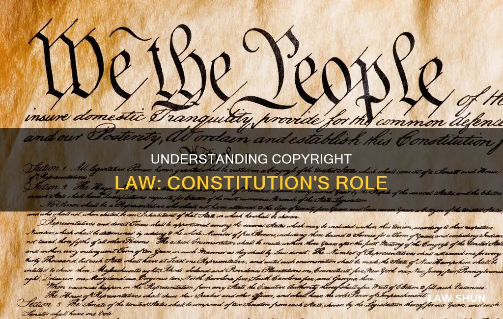 who establishes law on copyrights constitution