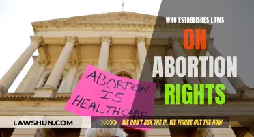 Who Decides Abortion Laws and Why?