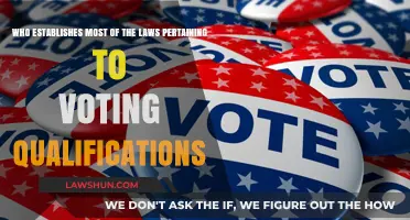 Who Sets Voting Qualifications? Understanding the Legal Framework