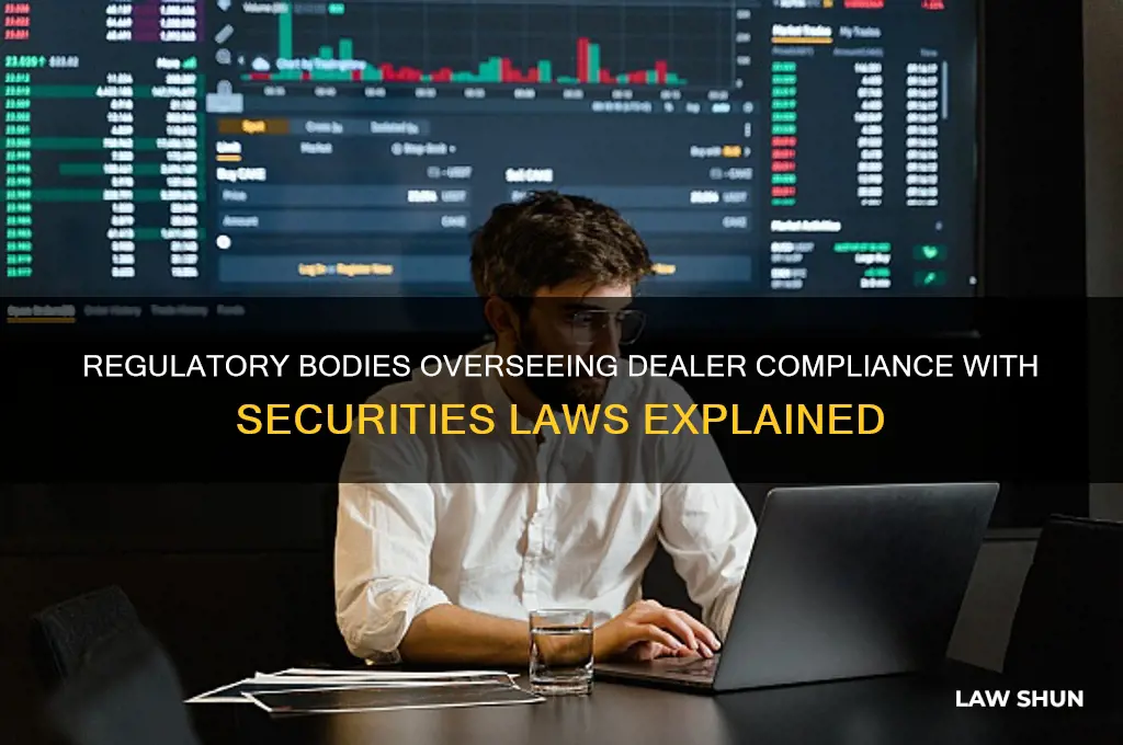 who examines dealers to determine compliance with the securities laws