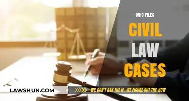 Civil Law Cases: Who Can File and Why