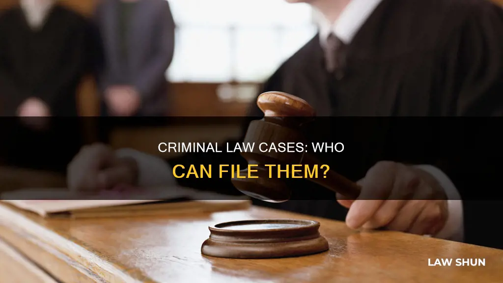 who files criminal law cases