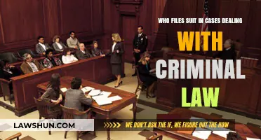 Criminal Lawsuits: Who Files the Suit?