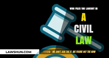Who Initiates Civil Lawsuits: Understanding the Plaintiff's Role