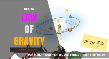Unveiling the Genius: Who Discovered the Law of Gravity?