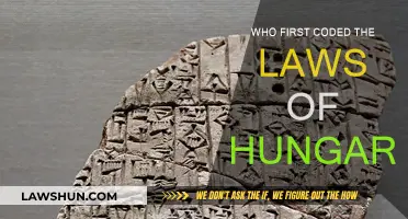 Hungary's Legal Code: Who Were the Original Programmers?