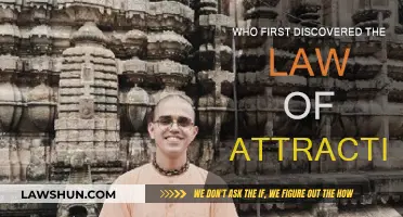 The Origin of the Law of Attraction