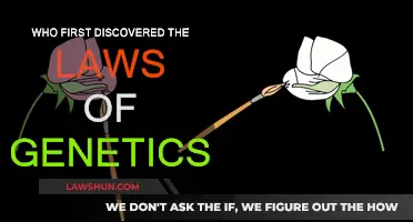 Unlocking the Secrets of Genetics: A Historical Perspective