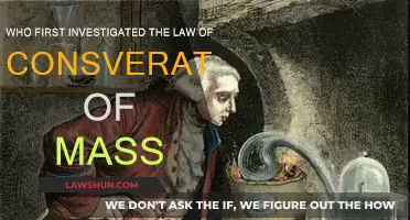 The First Steps Towards Understanding Conservation of Mass