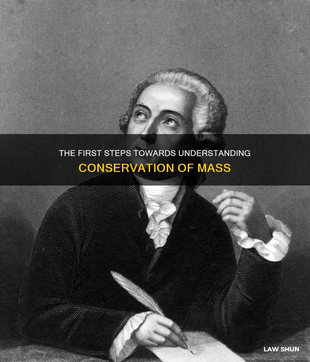 who first investigated the law of consveration of mass