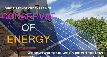 The Law of Conservation: Who First Noticed Energy's Balance?