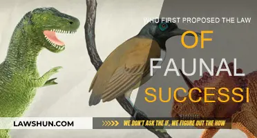 The Origin of Faunal Succession: A Historical Perspective
