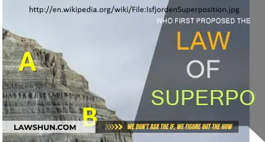 The Law of Superposition: A Historical Perspective
