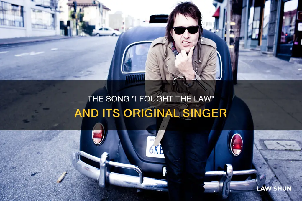 who first sang i fought the law