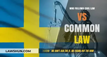 Civil Law vs Common Law: Who Follows Which?