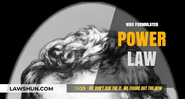 The Origins of Power Law: Who Formulated This Influential Concept?