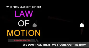 The First Law of Motion: Who Was the Pioneer?