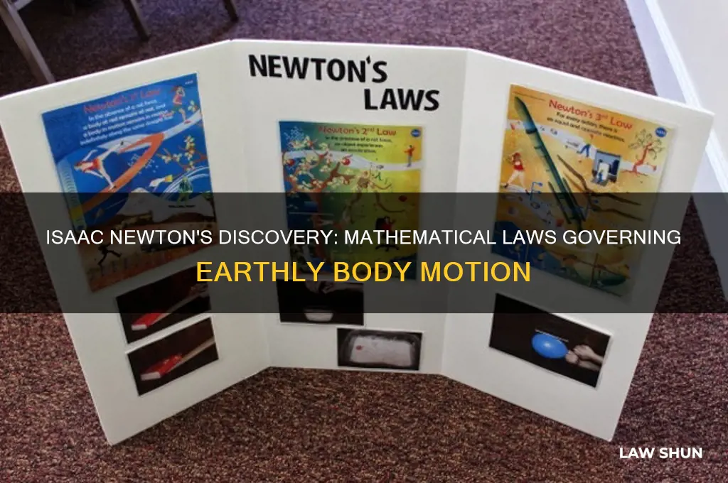 who found mathematical laws describing movements of bodies on earth