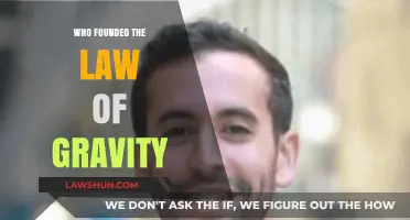 Unraveling the Mystery: Who Truly Discovered Gravity?