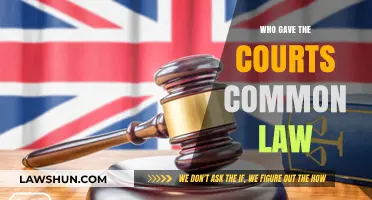 The Evolution of Common Law Courts