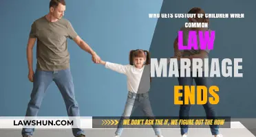 Custody Battle: Common-Law Marriage Ends, Who Gets the Kids?