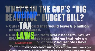 Trump's Tax Cuts: Who Lost Out?