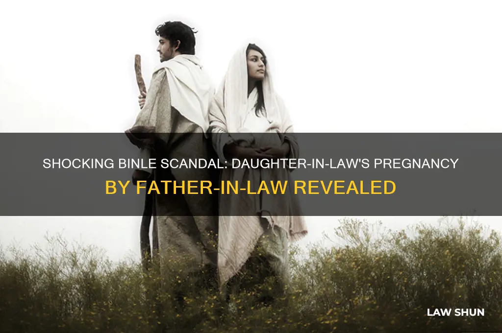 who got pregnant with father in laws child in binle