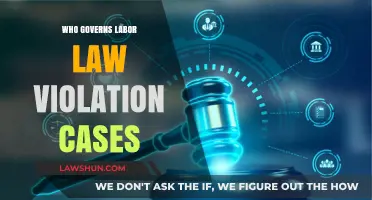 Labor Law Violations: Who Judges the Judges?