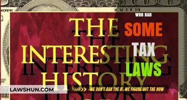 Tax Laws: Who Benefits and How?