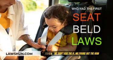 The First Seat Belt Laws: Who and When?