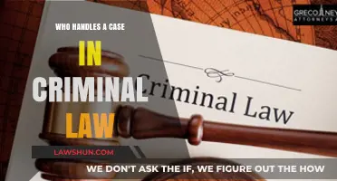 Criminal Law: Who's Who in a Case