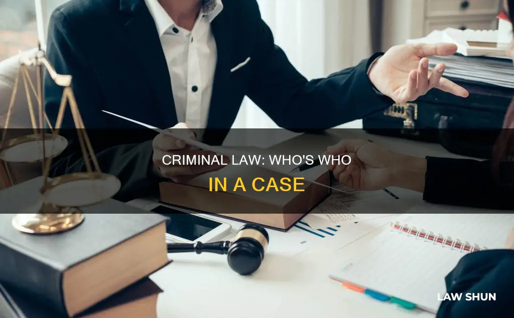 who handles a case in criminal law