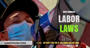 Who Enforces Labor Laws: Understanding Key Regulatory Bodies and Roles