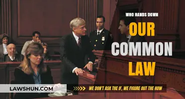 How Common Law is Passed Down Through Generations