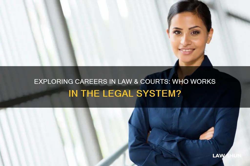 who has a job in law & courts