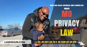 Missouri Privacy Law: Charged and Convicted Individuals Revealed