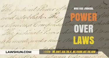 Judicial Power: Who Holds Authority Over Law Interpretation and Enforcement?