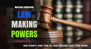 Exploring Legislative Powers: Who Shapes Our Laws?