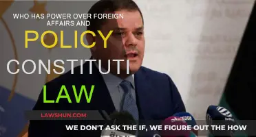 Foreign Affairs Power: Who Rules the Roost?