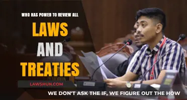 Judicial Authority: Who Holds the Power to Review Laws and Treaties?