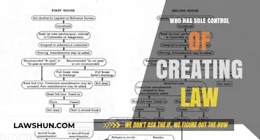 The Ultimate Power to Create Laws