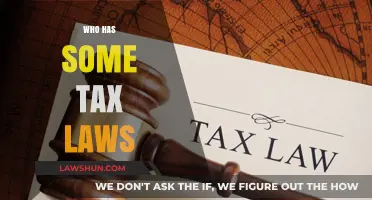 Understanding Tax Laws: Who Does it Affect?