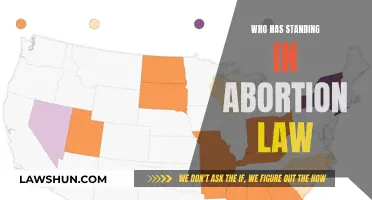 Standing in Abortion Law: Who Can Take Action?