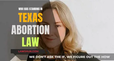 Texas Abortion Law: Who Has Legal Standing?