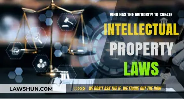 Who Holds the Power to Create IP Laws?
