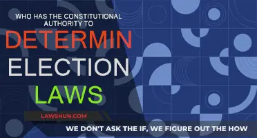 Who Holds the Power to Shape Election Laws?